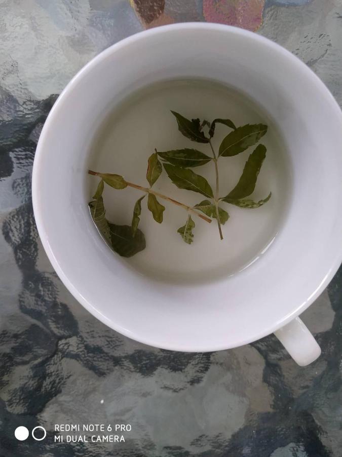 カランバカChrysanty'S Tea Houseアパートメント エクステリア 写真